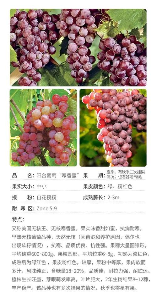 葡淘信息 汇聚精品资讯的数字生活新选择