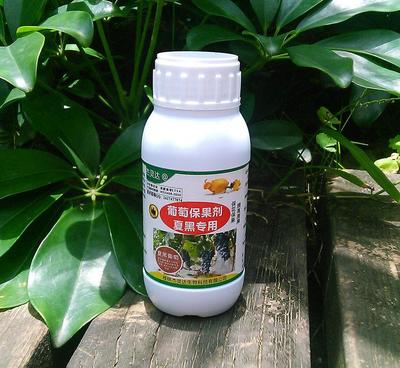 夏黑葡萄保果新方案 杰灵达专用保果剂，保花保果防落果，不硬梗不裂果