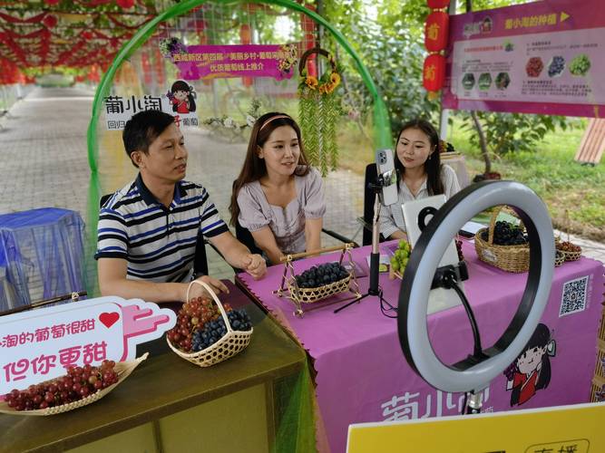 葡萄熟了！秦汉新城“葡小淘”邀你来采摘，甜蜜一夏正当时