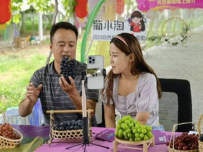 葡萄熟了！秦汉新城“葡小淘”邀你来采摘