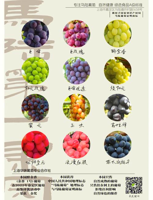 葡淘信息时代 当「葡萄」与「淘宝」在数字枝头相遇